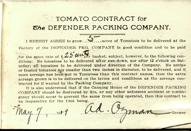 Tomato contract
