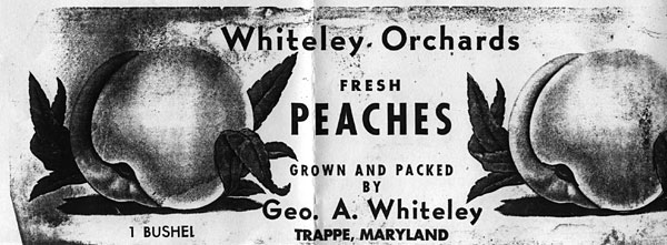 Whiteley Orchards Peaches label
