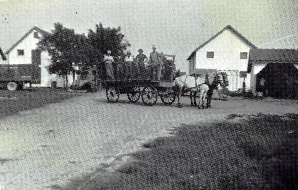 Hans Asmussen and Sons